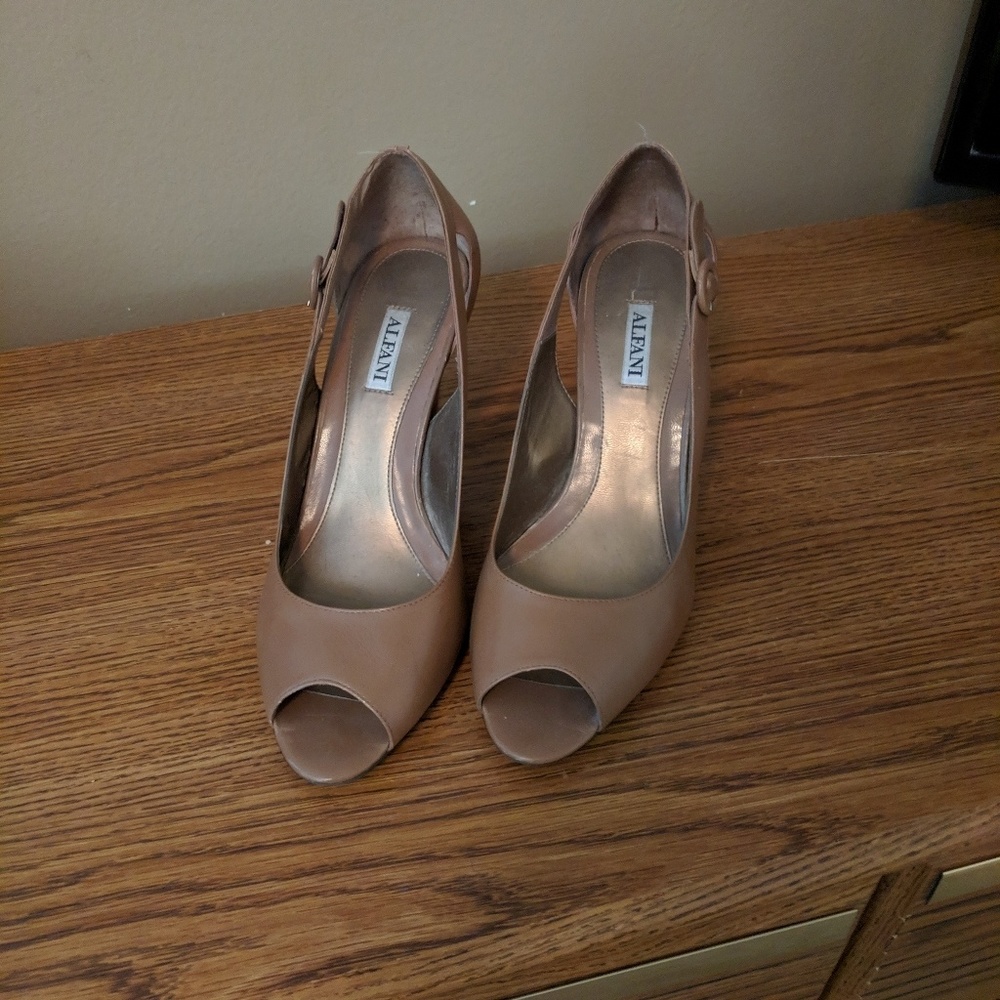 Alfani Heels